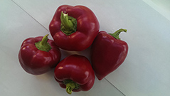 Starinsko sjemenje 7 7 opt rog paprika