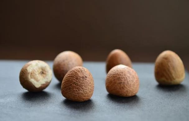 Razmnožavanje areca palmi – korak po korak vodič 4 wop hjk7423ujupjpcc2mkl65m24k67c7ccc
