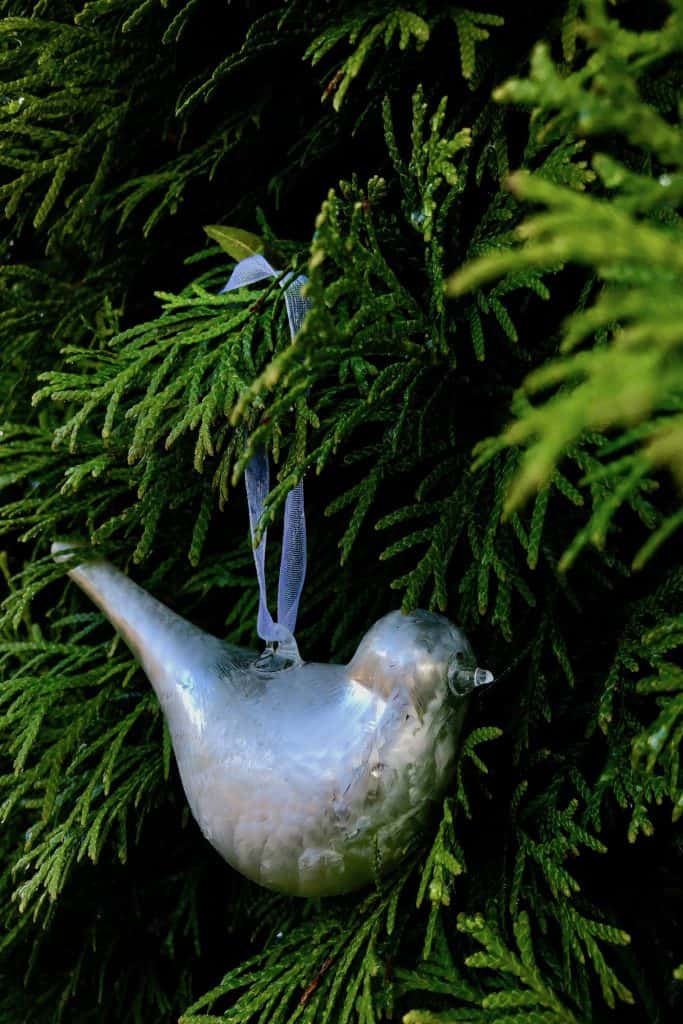 17 Soorten Kerstversieringen Om Een ​​klassieke En Feestelijke Boom Te Versieren Organic