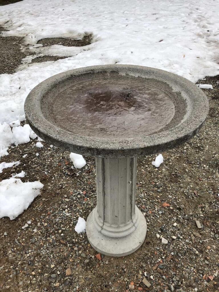 Betonske kupke za ptice: Vrtlarski vodič za čvrste, dugotrajne kupke za ptice 4 Betonske kupke za ptice Vrtlarski vodic za cvrste dugotrajne kupke za ptice54574598712