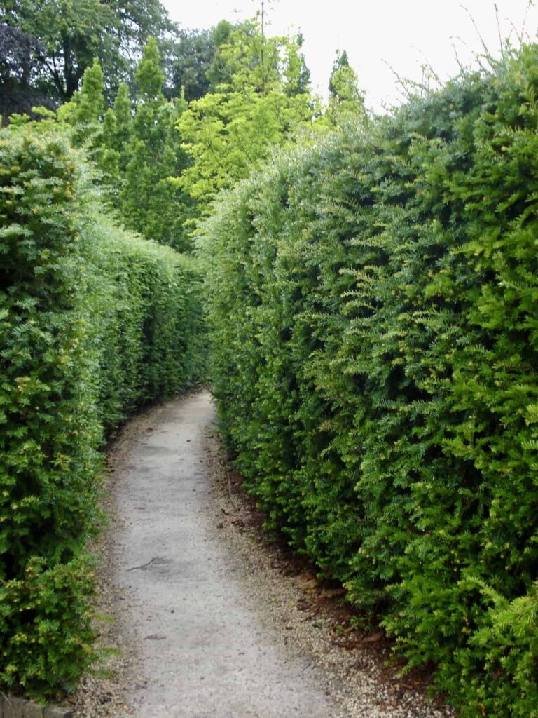 Savjeti za uređenje dvorišta za fantastični izgled ove jeseni 4 Fall Curb Appeal Savjeti za uredenje okolisa za fantasticnu fasadu ove jeseni348556498716