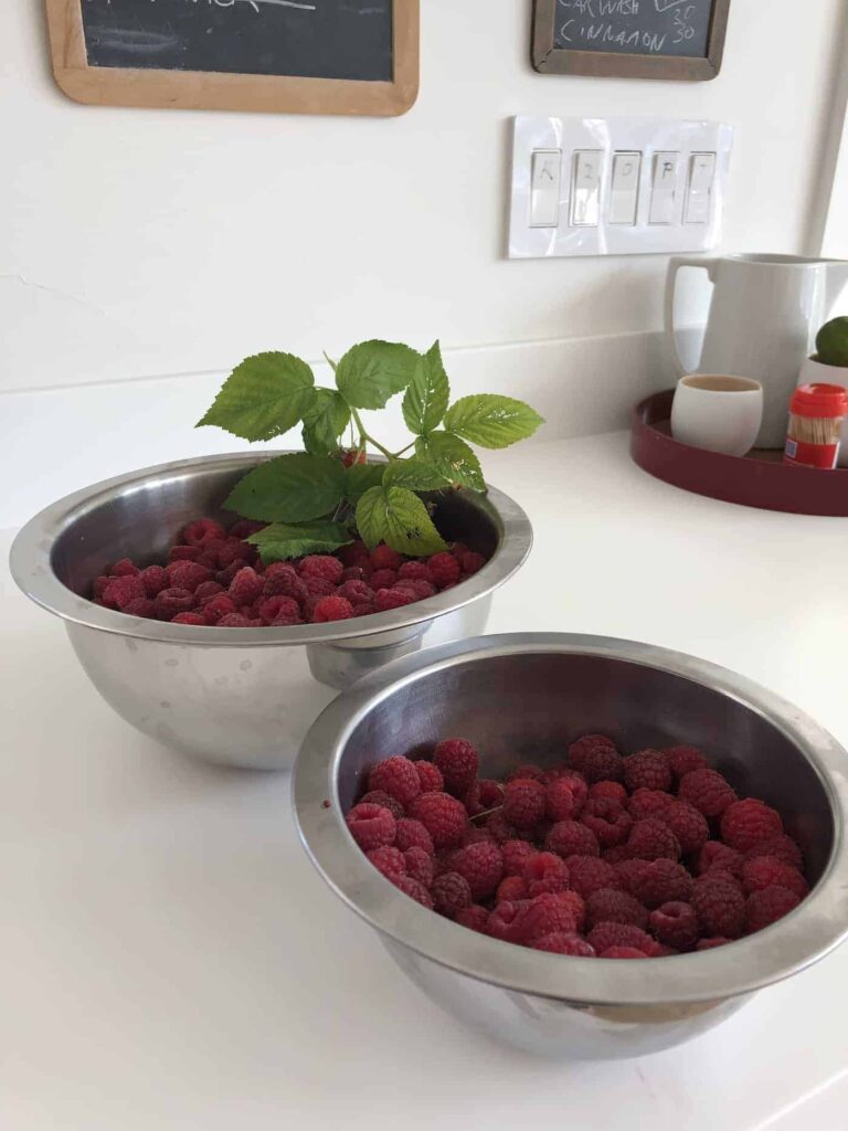 Gnojivo za maline: kako gnojiti maline da dobiju najukusnije bobice 3 Gnojivo za maline kako hraniti biljke maline da rastu najukusnije bobice5454578511