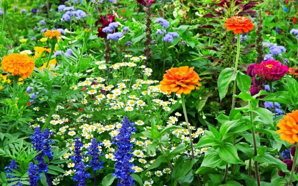 Blumengarten-Ideen 28 inspirierende Tipps für eine schöne blühende Landschaft328734589712
