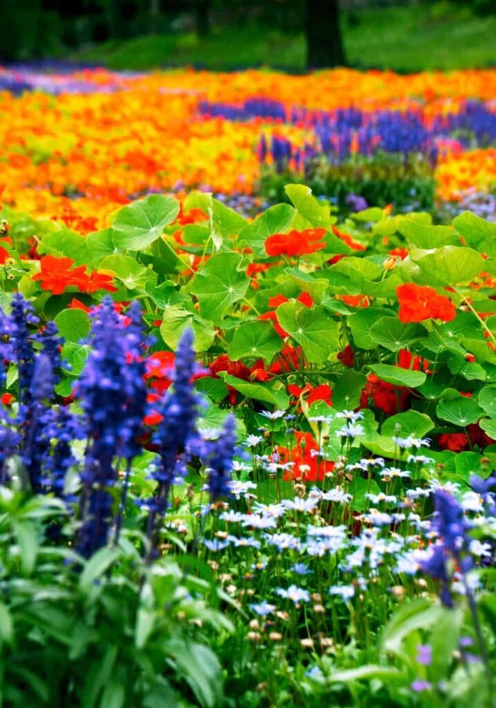 Ideje za cvjetnjake 28 inspirativnih savjeta za prekrasan cvjetajuci krajolik328734589735