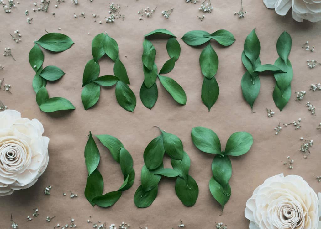 Ideje za vrtlarstvo za Dan planete Zemlje 10 savjeta za stvaranje eko vrta u vasem vanjskom prostoru8543543819