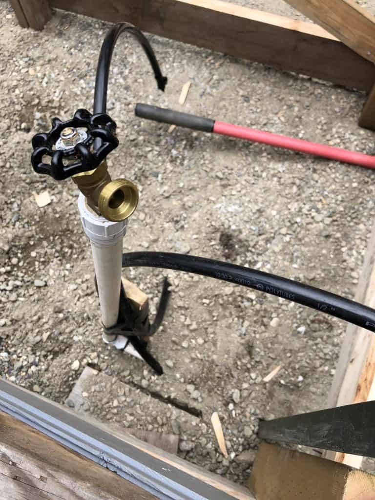 Ljetno povrtlarstvo: 9 savjeta za zdrav vrt u vrućini 2 Ljetno povrtlarstvo 10 savjeta za zdrav vrt za vruce vrijeme53478534879116