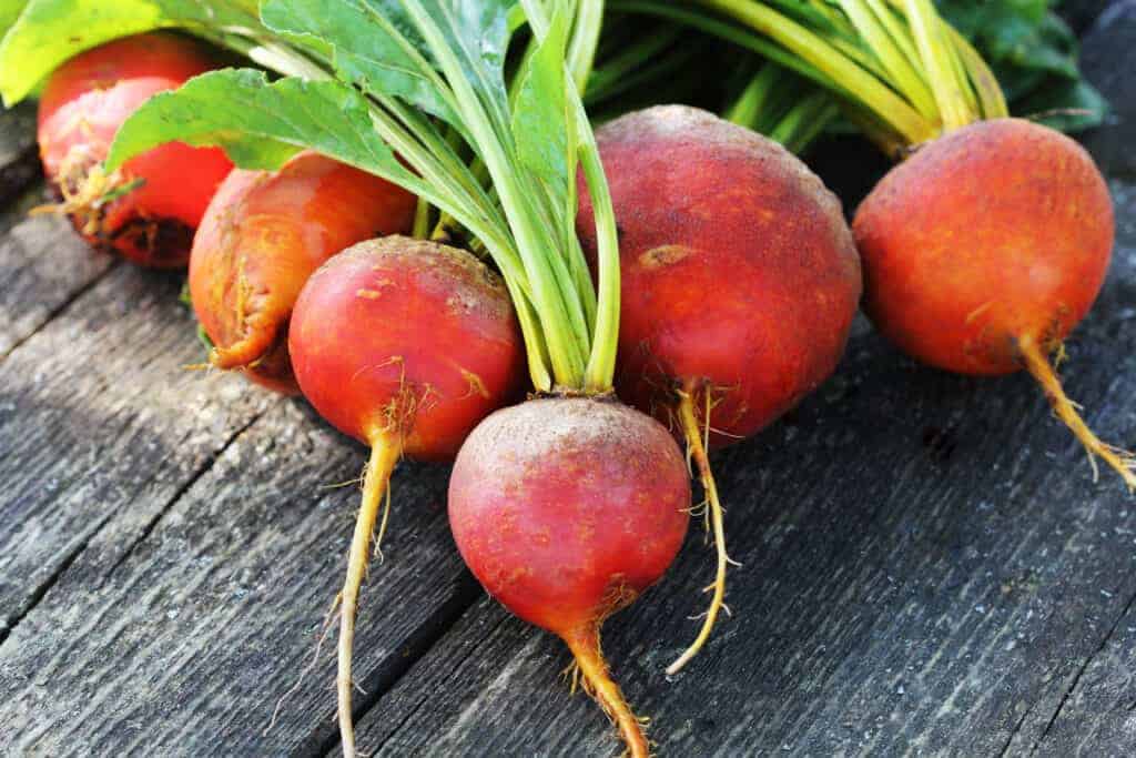 Uzgoj povrća po hladnom vremenu 6 Povrce po hladnom vremenu za uzgoj u vasem vrtu433409834580911