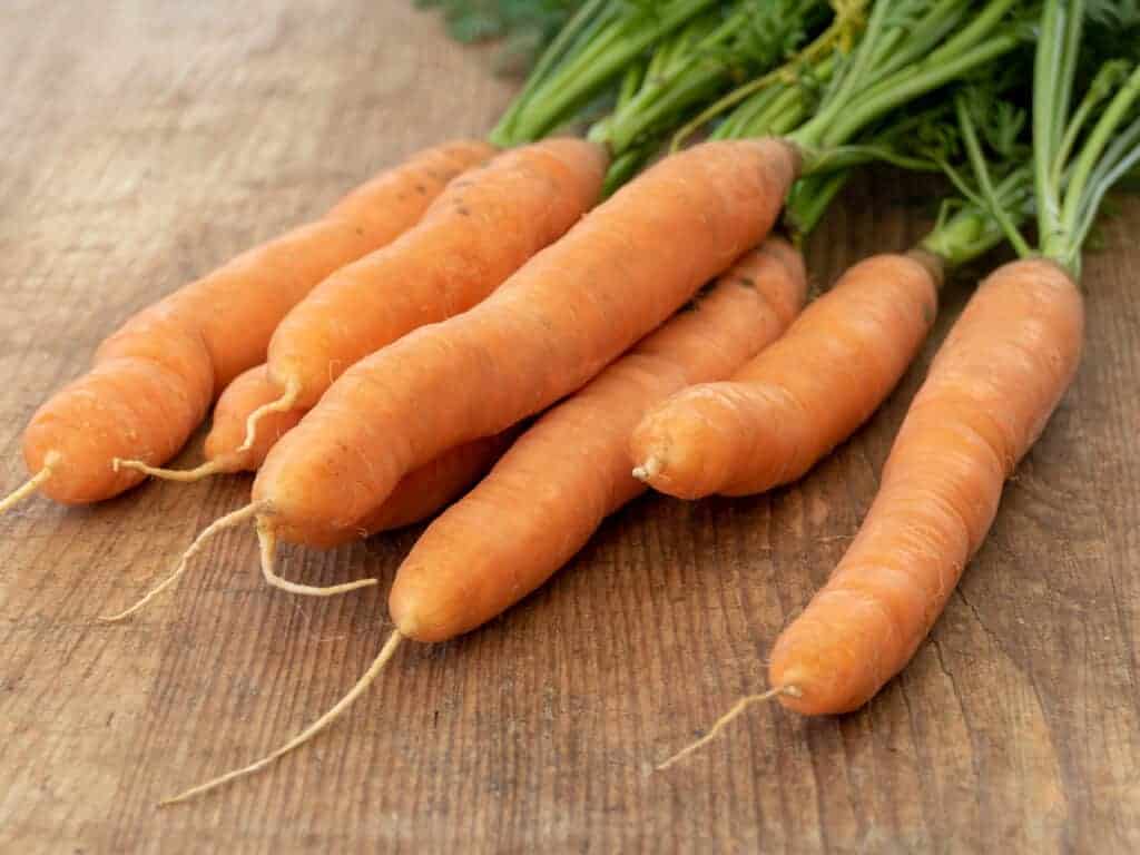 Uzgoj povrća po hladnom vremenu 3 Povrce po hladnom vremenu za uzgoj u vasem vrtu433409834580915