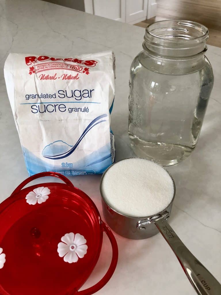 Recept za hranu za kolibrije: Kako napraviti domaći nektar za kolibriće 4 Recept za hranu za kolibrije Kako napraviti domaci nektar za kolibrije894538354845314