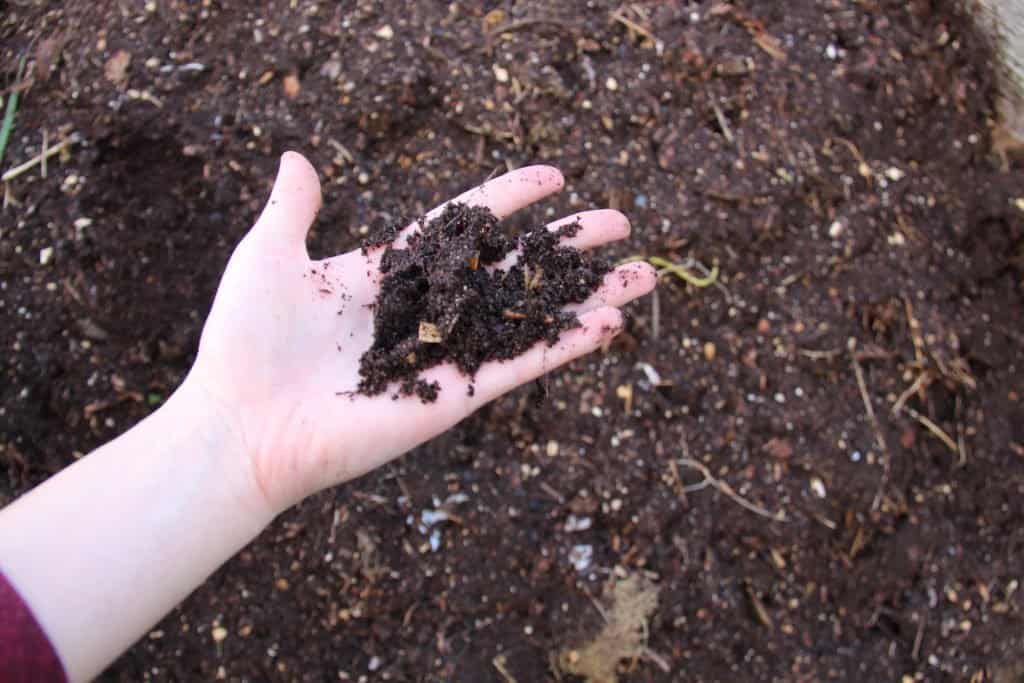 Sastojci tla za lonce Vrtlarski vodic za materijale koji se koriste u mjesavini za saksije43877845389715 1