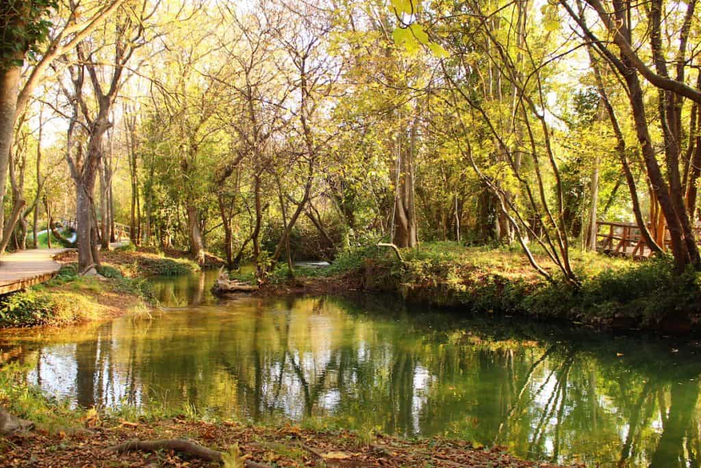 Vrt za meditaciju: projektiranje i sadnja prirodnog utočišta 2 Vrt za meditaciju projektiranje i sadnja prirodnog utocista na otvorenom47453794309814