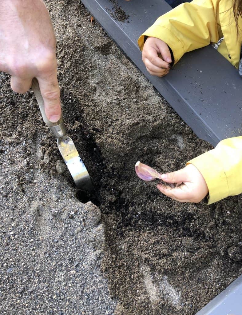 Kako pripremiti podignute vrtne gredice za hladno vrijeme 3 Zimovanje podignutih vrtnih gredica Kako pripremiti podignute gredice za hladno vrijeme5487345489712